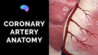 Coronary Artery Anatomy (3D Anatomy Tutorial) | UKMLA | CPSA