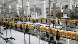 Complete juice hot-fill filling line - 6000BPH at 1000ml in glass bottles in Iran