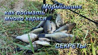 Мормышинг.  Карась в озерах