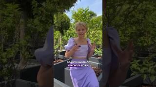 ️ СОЛНЕЧНЫЙ ОЖОГ ️