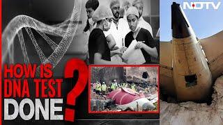 Air India Plane Crash: Expert Explains DNA Testing Process