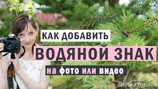 Как добавить водяной знак на фотографию или видео с помощью телеграм-бота