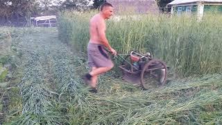 Самодельная роторная косилка, высота не имеет значения..DIY (homemade) rotary mower from chainsaw...