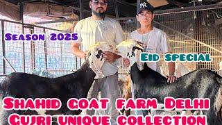 Unique collection gujri || at shahid goat farm Delhi || eid special || season 2025 || resneble price