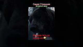 Ужасная Встреча в Лесу #приключения #выживание #охота #сильныйдух #survival