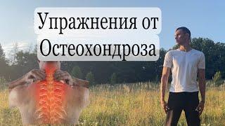 упражнения от шейного, грудного остеохондроза osteochondrosis exercises