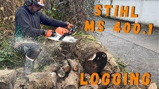 Logging & Splitting with the NEW STIHL MS 400.1! What Do You Think?