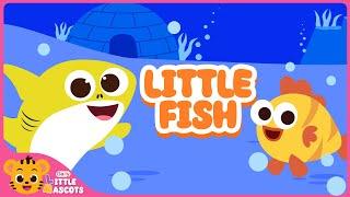 Little Fish | Little Mascots Nursery Rhymes