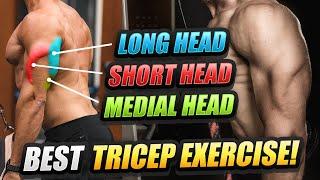 The BEST TRICEP Exercise For BIGGER ARMS | Fix Your FORM To Build HUGE TRICEPS