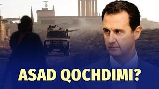 Suriyada xaos: Bashar Asad Moskvaga qochdimi?