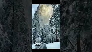 Road, pine trees, snow, mountains, beauty #shorts #short #beautiful #life #nature #relax #relaxing