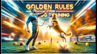 What Are The 5 Golden Rules For Dog Training