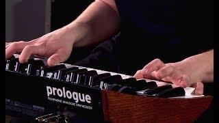 Korg Prologue - All Playing, No Talking!