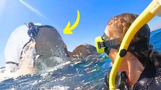 Swimming with Whales WE GOT HIT (CAUGHT ON CAMERA)