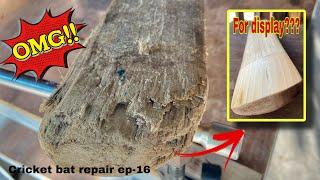 10++ years old cricket bat repair@MHAMaster