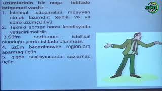 Üzüm məhsulunun yığılmasında və realizəsində yaranan problemlər(Online dərs-522)