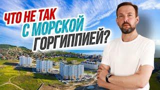 #Анапа ЖК Морская Горгиппия - РЕАЛЬНАЯ ПРАВДА О РАЙОНЕ! КОМУ И ЗАЧЕМ здесь стоит покупать квартиру?