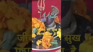 जीवन का सुख प्रदान करता है pandit Pradeep# Mishra# dwara# upay# video #viral