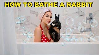 How to Bathe Your Rabbit Safely! (Butt Bath!)