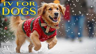 Relaxing Christmas DogsDOG TV: Best Videos to Relax Dogs + Music for Dogs a Peaceful Christmas