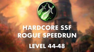 [Former] World Record Hardcore Rogue 1-60 Speedrun (3d 3h 45m) | Level 44-48