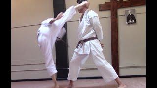 Rick Hotton sensei, Petaluma CA, application for mawashi geri, relaxed heaviness