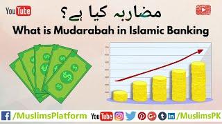 What is Mudarabah? Mudarabah in Islamic Banking in Urdu/Hindi by Muslims Platform