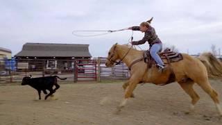 Beastmaster - We Live It Every Day 2