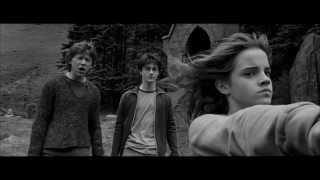 hermione granger | now i'm a warrior