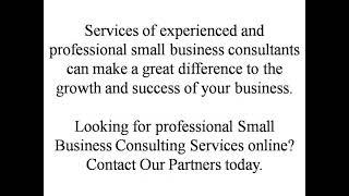 Small Business Consulting Services