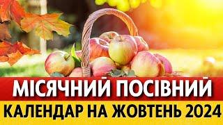 ЩО та КОЛИ робити на городі у жовтні 2024 за місячним календарем Місячний календар городника