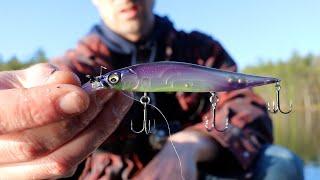 RARE Color GLX Northern Secret for Northern Smallmouth (vision 110 +1 jr)