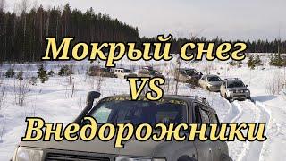 Wrangler Rubicon, Sport2, L200, Pajero 4, Sorento, Terrano, Tlc80 и УАЗ. Борьба с мокрым снегом.