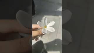 POV : you had a GREAT trip #music #viral #vacation #iit