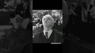 “It'S kIlLeD mEh, iT's KiLlEd mEh!”   #harrypotter #dracomalfoy #hogwarts #potterhead #pottah