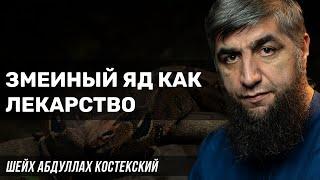 Змеиный яд как лекарство