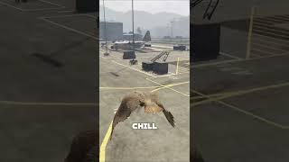 WHAT HAPPENS IF  ENTER AREA 51?!