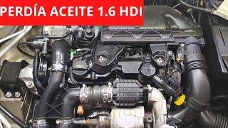 REPAIR OIL LEAK 1.6 Hdi Common Failure Citroen Peugeot HEADS AND VALVE COVERS.