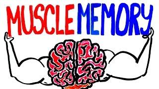 Muscle Memory Explained