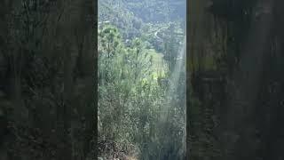 PORTUGUES VILLAGE IN MOUNTAIN ПОРТУГАЛЬСКАЯ ДЕРЕВНЯ В ГОРАХ #shorts #village #portugal #mountain