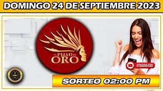 Resultado de EL PIJAO DE ORO del DOMINGO 24 DE SEPTIEMBRE del 2023 #chance #pijaodeoro