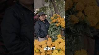 Captain Hananiah proves the ICE raids on Mexicans in America is Biblical!