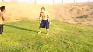 two pussys fighting