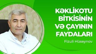 Kəklikotu bitkisinin faydaları | Kəklikotu çayının faydaları | Kəklikotu yağı haqqında