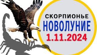 Новолуние в Скорпионе 1.11.2024 Советы астролога.