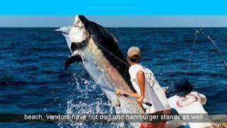 Fishing Charters Boynton Beach | Boynton Beach Deep Sea Fishing Charter | Crown Fishing Charters