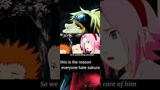 The reason everyone hate Sakura 