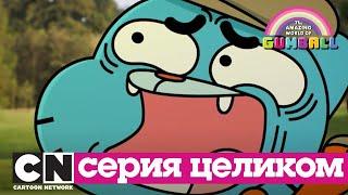 Гамбола | Стажер + Чек (серия целиком) | Cartoon Network