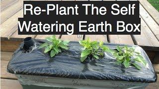 Planting an Earth Box Self Watering Container for Cheap in the Alberta Urban Garden