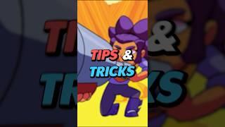 SHELLY PRO TIPS | Full Guide